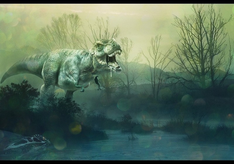 PhotoManipulatio_05BakiBoquecosa_800x800