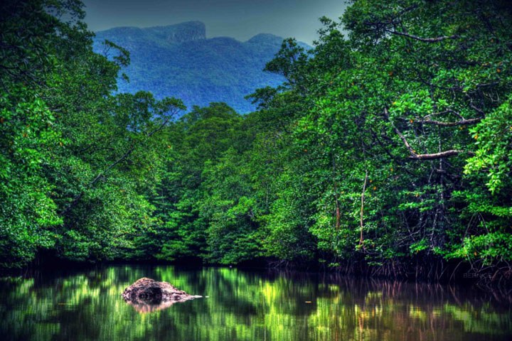 Bernice Recto_Picoftheday_006_720x480