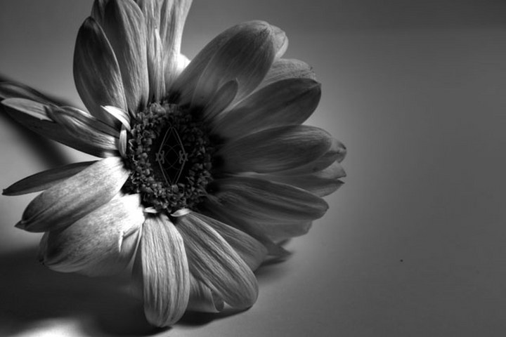 Bernice Recto_Picoftheday_010_720x480