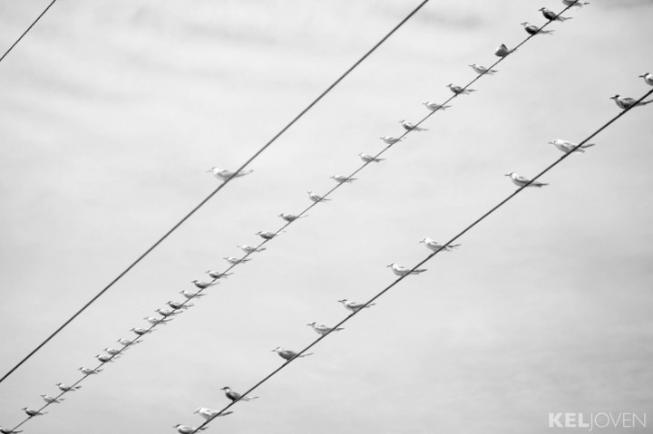 KelJoven_002_720x479