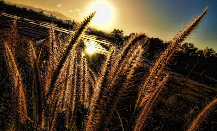 LouieJalbuena_001_720x437