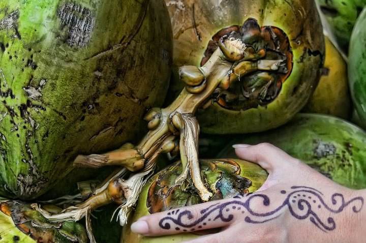 LouieJalbuena_006_720x478