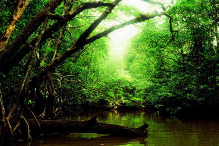 Bernice Recto_011_POTD_720x480