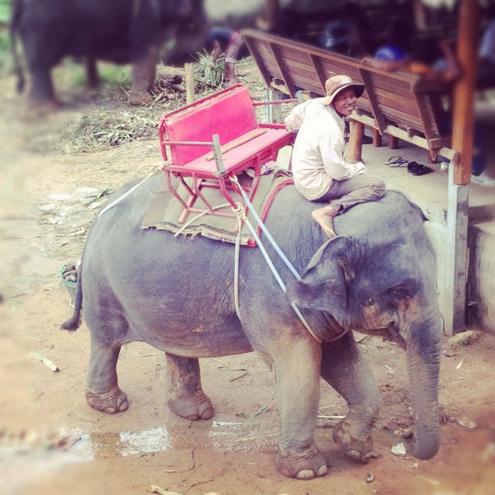 CyryllYamamoto_001_POTD_720x720