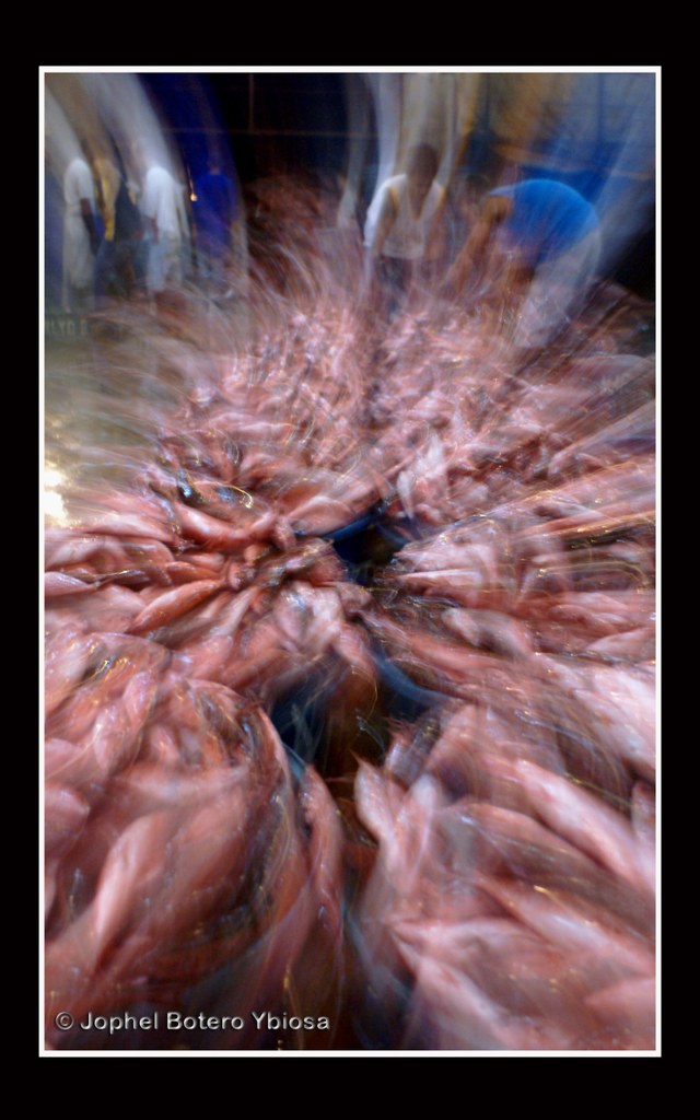 Photography_002JophelYbiosa_640x1024