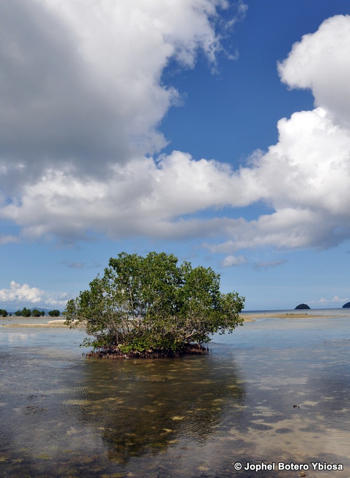 ProvinceOfSulu_006JophelYbiosa_720x982