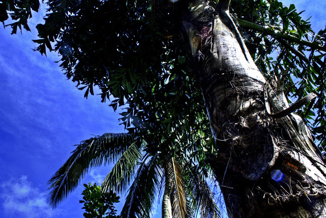 Bernice Recto_013_POTD