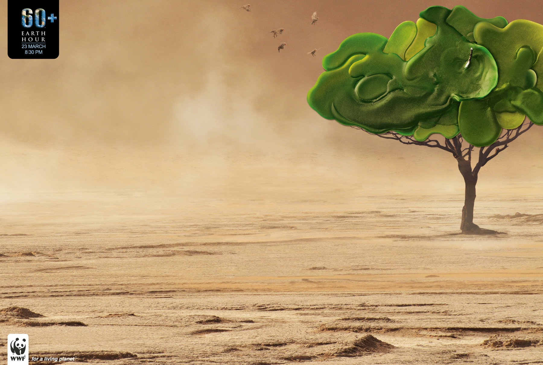 EarthHour_03WWF