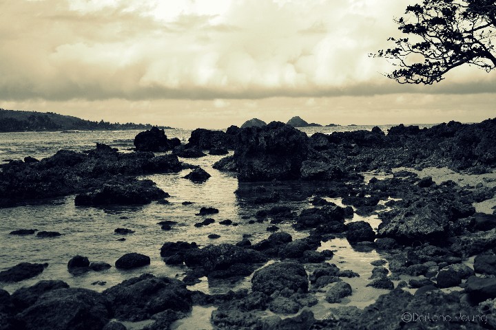 DarleneJoannaYoung_01_POTD_720x720