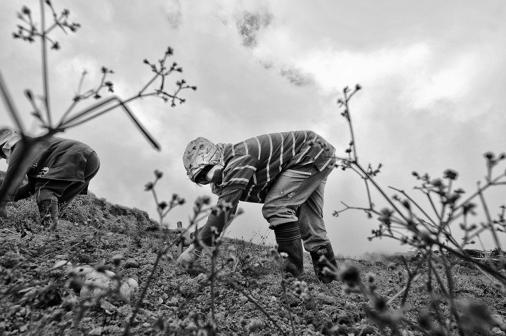 Signos_04VeejayVillafranc_720x720