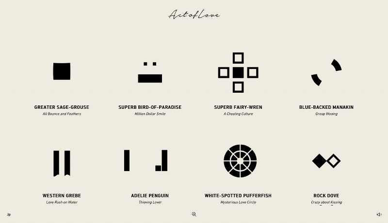 ActOFLove_00003_800x800