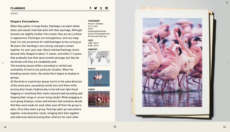 ActOFLove_00004_800x800