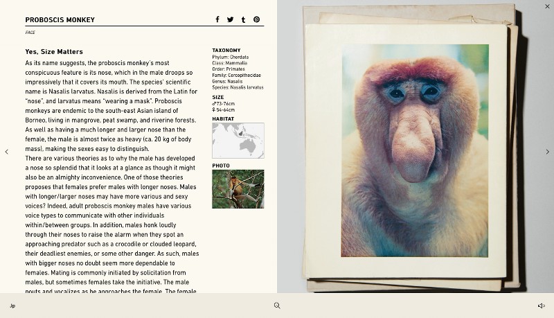 ActOFLove_00005_800x800