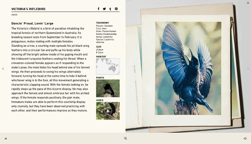 ActOFLove_00006_800x800