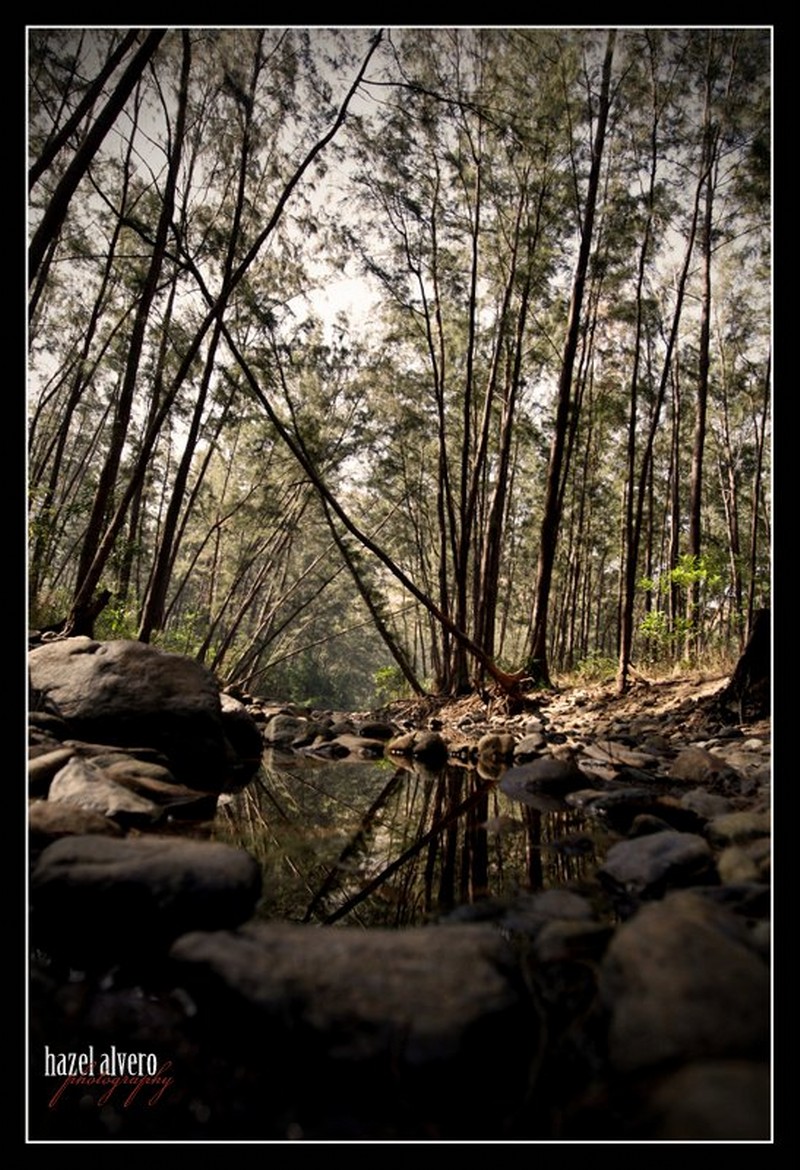 HazelAlvero_02POTW_800x1400