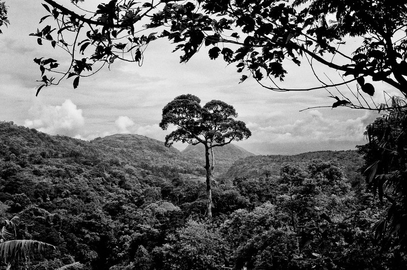 VeejayVillafranc_03DyingOftheLight_800x800