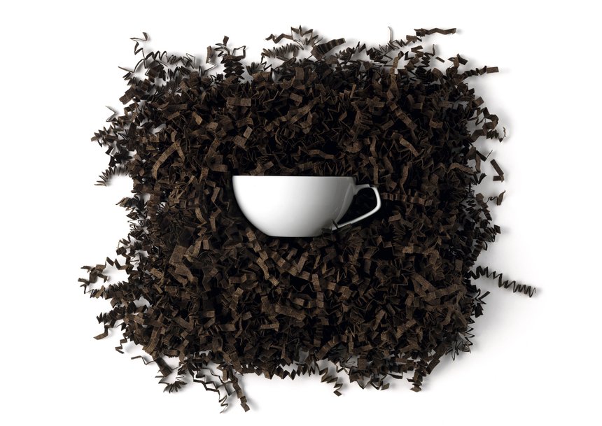 Fragilitea_06Rosenthal