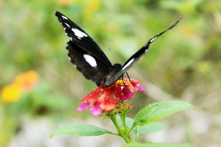 photography_06honeylyngalang_720x720