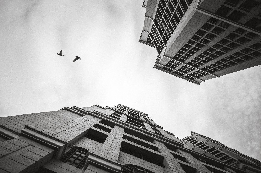 photography_08alfredong_1000x1000