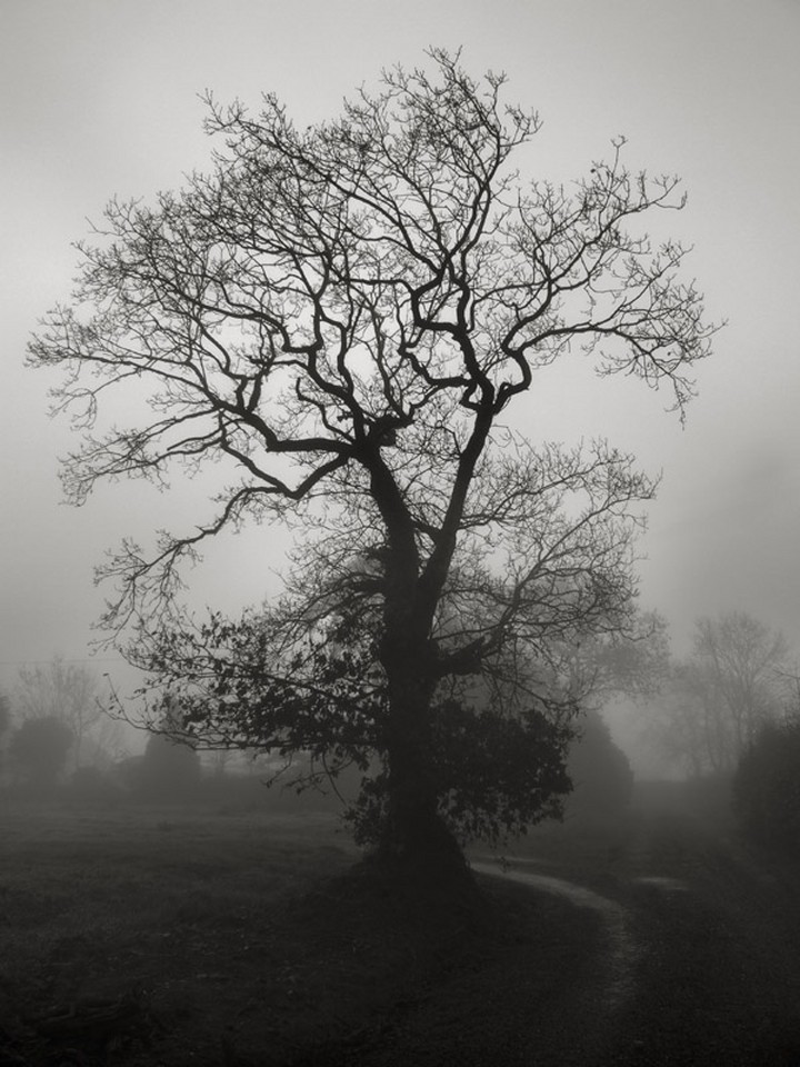 photography_09jamesclancy_720x1400